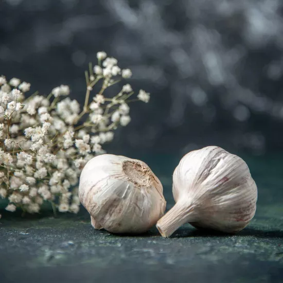 Sarımsak Sıvı Ekstresi Allium Sativum